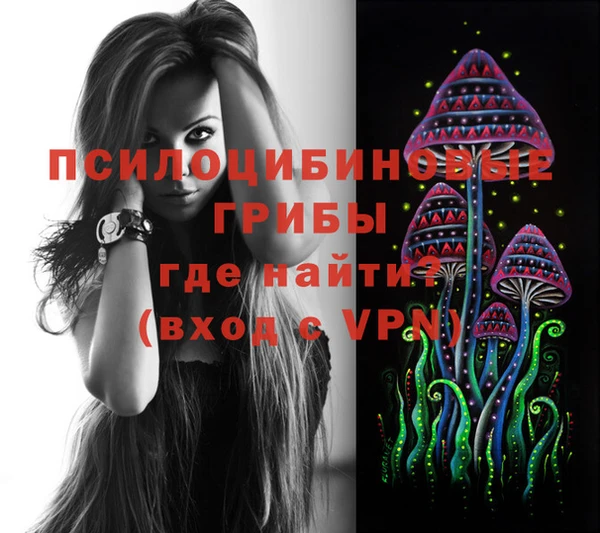 apvp Алзамай