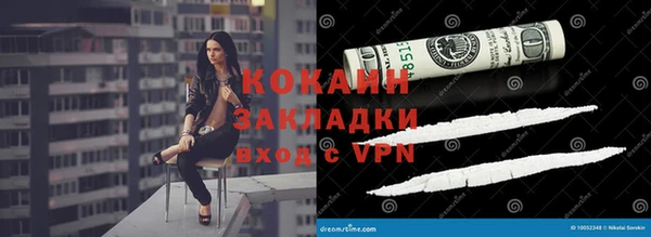 apvp Алзамай