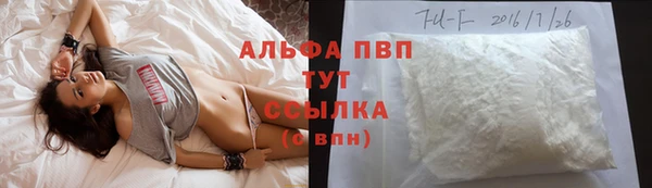 apvp Алзамай