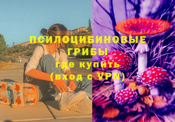 хмурый Алексеевка