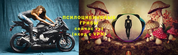 соль ск Алексин