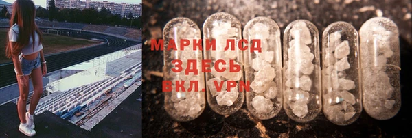соль ск Алексин