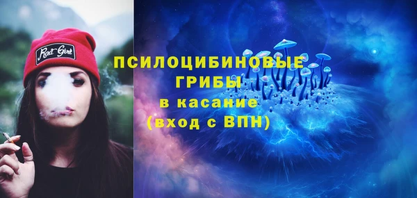 хмурый Алексеевка